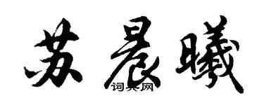 胡问遂苏晨曦行书个性签名怎么写