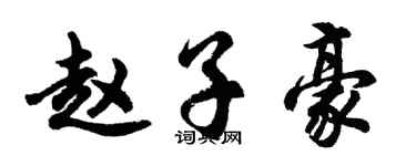 胡问遂赵子豪行书个性签名怎么写