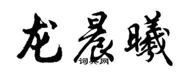 胡问遂龙晨曦行书个性签名怎么写