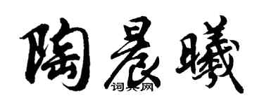 胡问遂陶晨曦行书个性签名怎么写