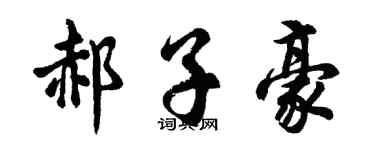 胡问遂郝子豪行书个性签名怎么写