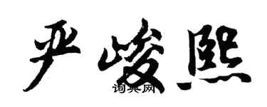 胡问遂严峻熙行书个性签名怎么写