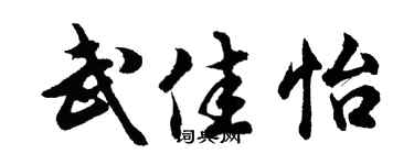 胡问遂武佳怡行书个性签名怎么写