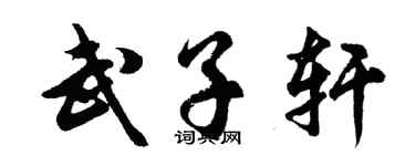 胡问遂武子轩行书个性签名怎么写