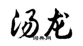 胡问遂汤龙行书个性签名怎么写