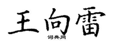 丁谦王向雷楷书个性签名怎么写