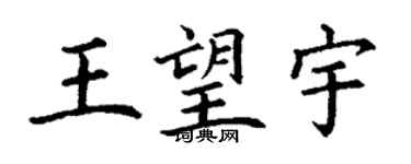 丁谦王望宇楷书个性签名怎么写