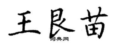 丁谦王艮苗楷书个性签名怎么写