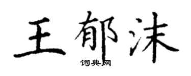 丁谦王郁沫楷书个性签名怎么写