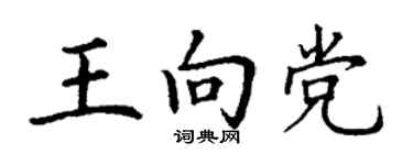 丁谦王向党楷书个性签名怎么写