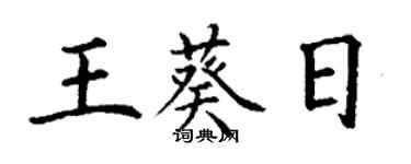 丁谦王葵日楷书个性签名怎么写