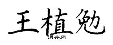 丁谦王植勉楷书个性签名怎么写