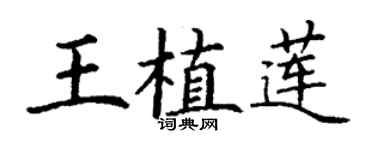 丁谦王植莲楷书个性签名怎么写