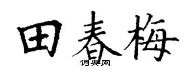 丁谦田春梅楷书个性签名怎么写