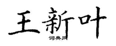 丁谦王新叶楷书个性签名怎么写