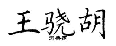 丁谦王骁胡楷书个性签名怎么写