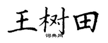 丁谦王树田楷书个性签名怎么写