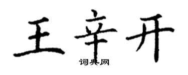 丁谦王辛开楷书个性签名怎么写