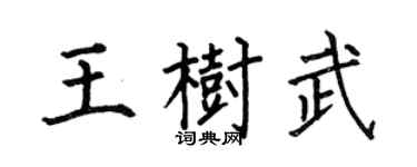 何伯昌王树武楷书个性签名怎么写