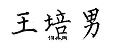 何伯昌王培男楷书个性签名怎么写