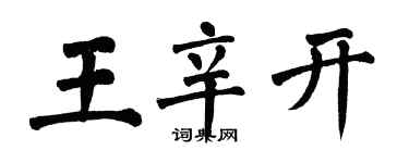 翁闿运王辛开楷书个性签名怎么写