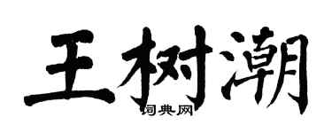 翁闿运王树潮楷书个性签名怎么写