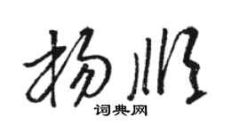 骆恒光杨顺草书个性签名怎么写