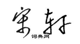 骆恒光宋轩草书个性签名怎么写