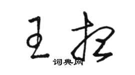 骆恒光王想草书个性签名怎么写