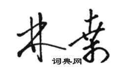 骆恒光林桑草书个性签名怎么写