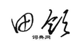 骆恒光田领草书个性签名怎么写