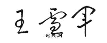 骆恒光王雪军草书个性签名怎么写