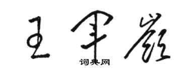 骆恒光王军岭草书个性签名怎么写