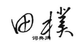 骆恒光田朴草书个性签名怎么写