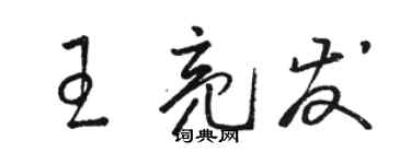 骆恒光王亮发草书个性签名怎么写