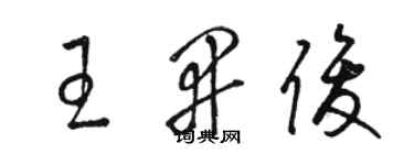 骆恒光王开俊草书个性签名怎么写