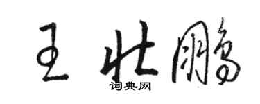 骆恒光王壮鹏草书个性签名怎么写