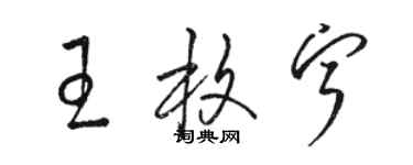 骆恒光王枚宁草书个性签名怎么写