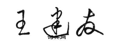骆恒光王建友草书个性签名怎么写