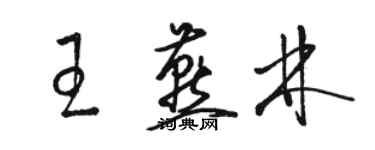 骆恒光王燕林草书个性签名怎么写