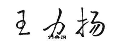 骆恒光王力扬草书个性签名怎么写