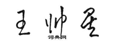 骆恒光王帅星草书个性签名怎么写