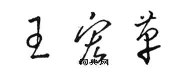 骆恒光王宏革草书个性签名怎么写