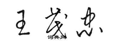 骆恒光王茂忠草书个性签名怎么写