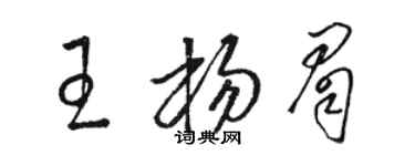 骆恒光王杨眉草书个性签名怎么写