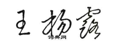 骆恒光王杨露草书个性签名怎么写