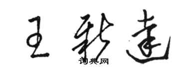 骆恒光王新达草书个性签名怎么写
