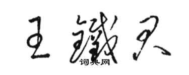 骆恒光王铁君草书个性签名怎么写
