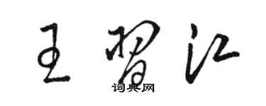 骆恒光王习江草书个性签名怎么写