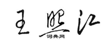 骆恒光王照江草书个性签名怎么写